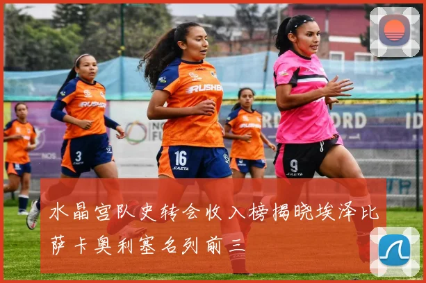 水晶宫队史转会收入榜揭晓埃泽比萨卡奥利塞名列前三